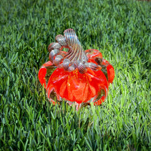 Load image into Gallery viewer, Harvest Orange | Mini Pumpkin