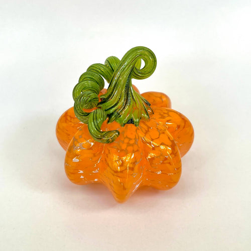 Mandarin Orange | Mini Pumpkin