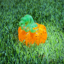 Load image into Gallery viewer, Mandarin Orange | Mini Pumpkin