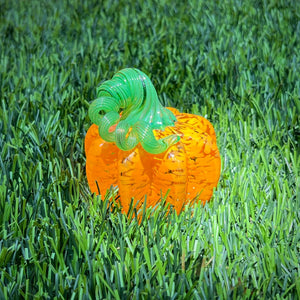 Mandarin Orange | Mini Pumpkin