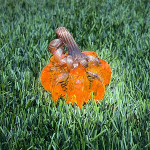 Saffron Orange | Mini Pumpkin