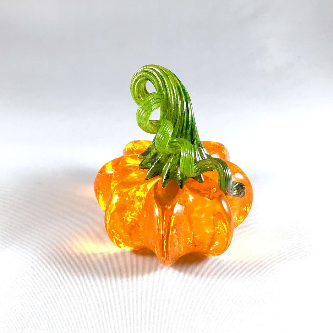 Saffron Orange Mini Pumpkin